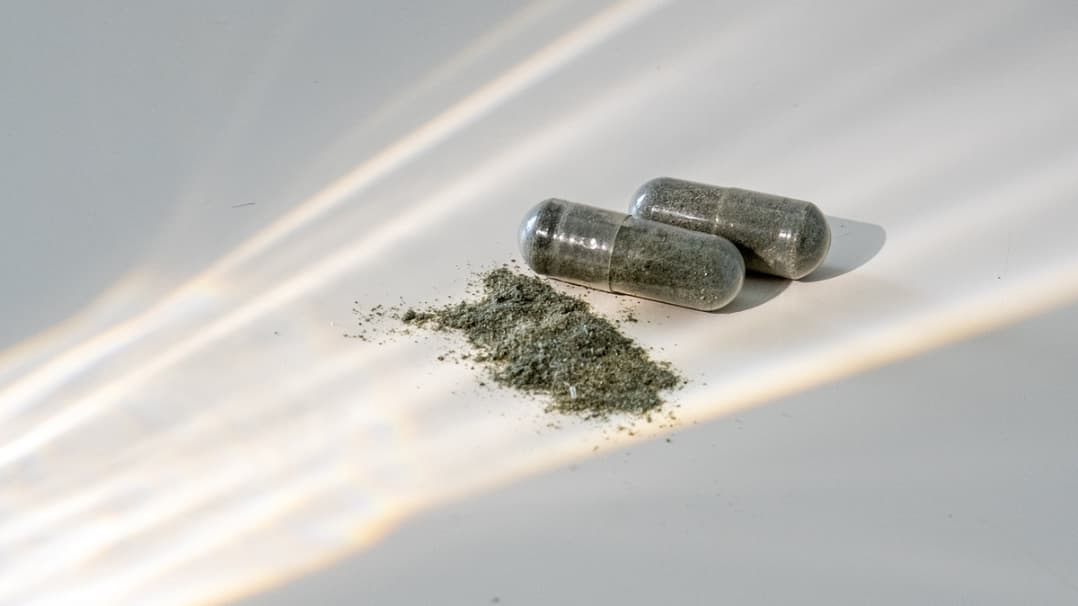 Stem Cell Supplements for Repair And Longevity