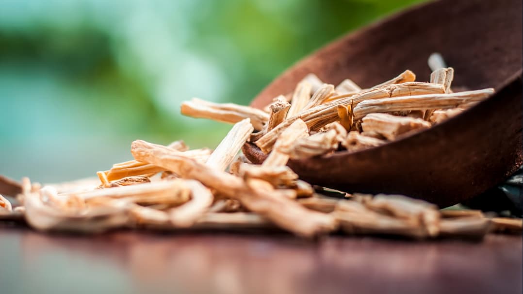 Shatavari Benefits for Women: What the Research Shows