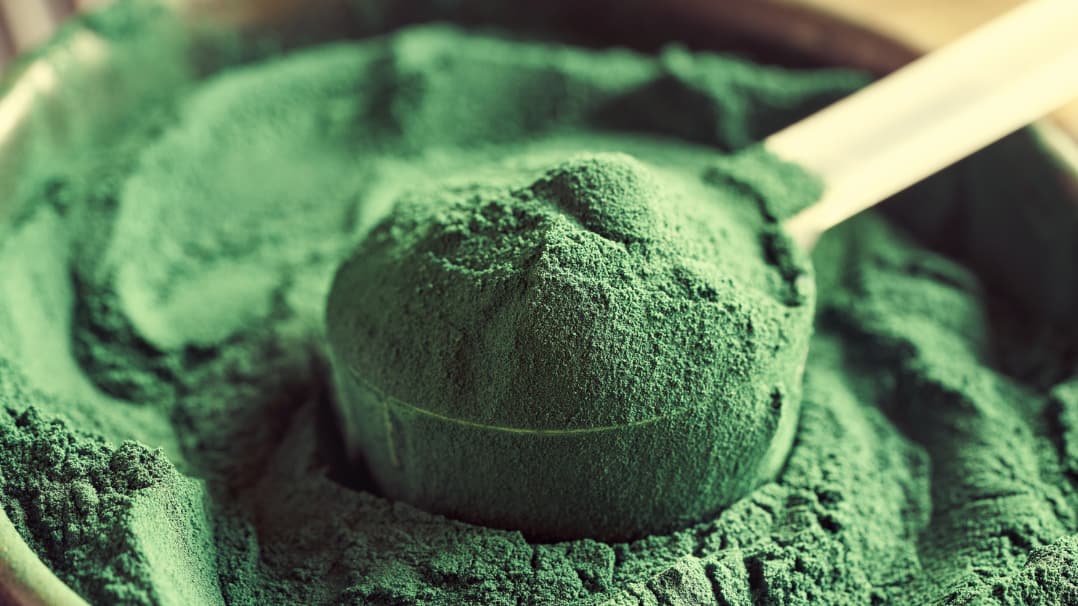 Is There a Link Between Blue-Green Algae and Stem Cell Activation? 