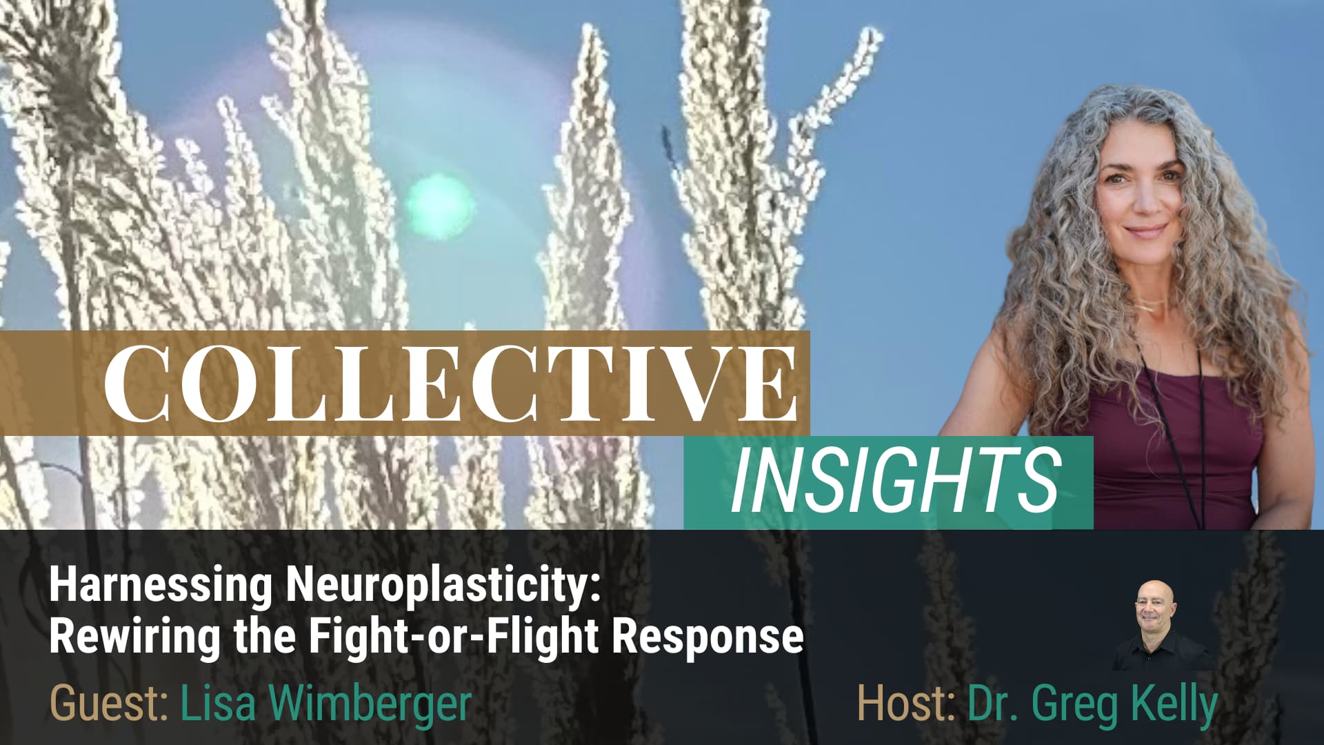 Neuroplasticity - Lisa Wimberger - Mindfulness