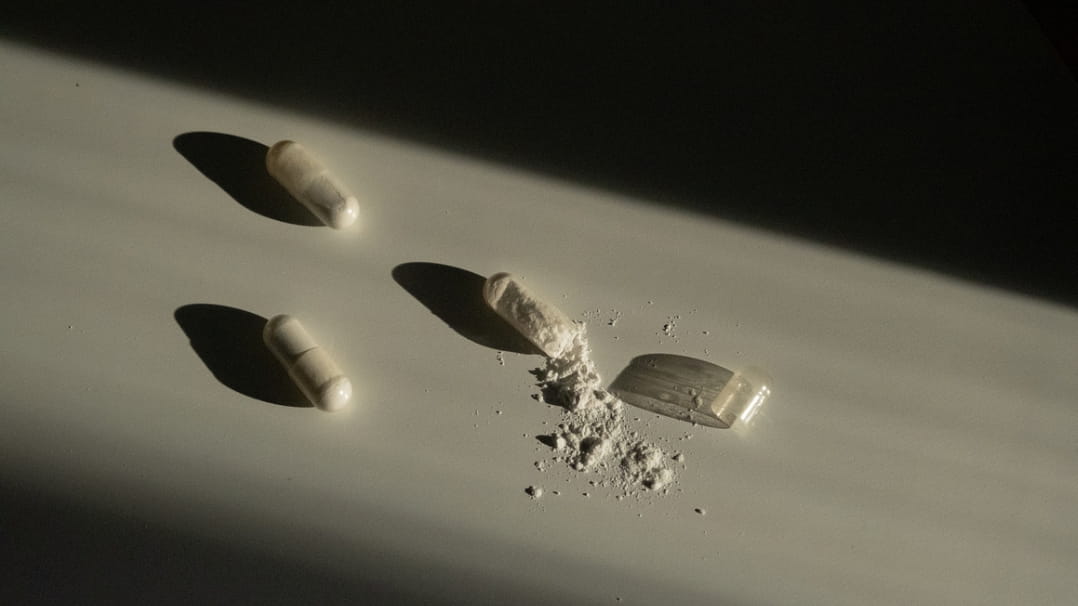 Magnesium and Neuroplasticity: The Overlooked Key to Brain Performance