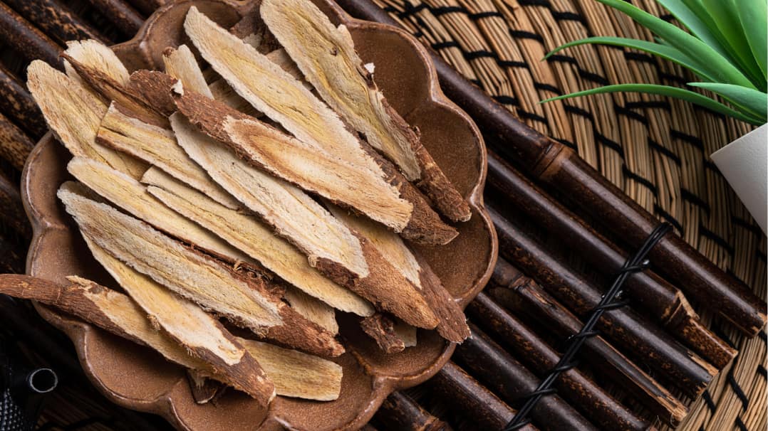 Astragalus Root for Stem Cell Support: Tradition Meets Modern Science
