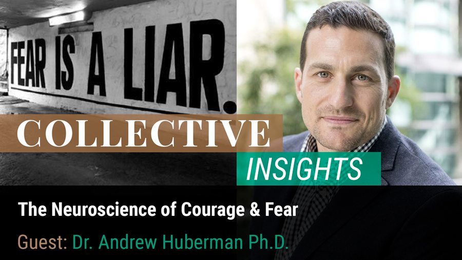 Stanford Study On Brain Waves Shows How >> The Neuroscience Of Courage And Fear Stanford Study On Brain Waves Shows How >> The Neuroscience Of Courage And Fear