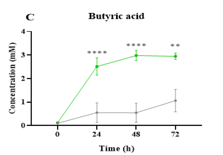 Chlorella produced over four times more butyrate than inulin after 24 hours of simulated digestion, highlighting its potential as a prebiotic for gut health.