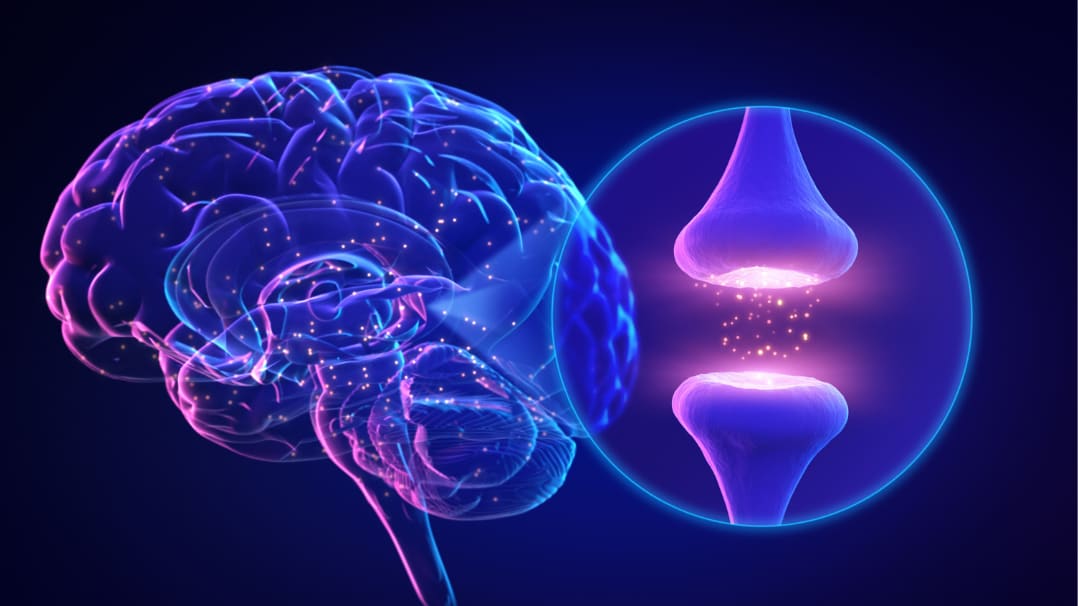 The Brain on Exercise: Unlocking the Science of Neuroplasticity
